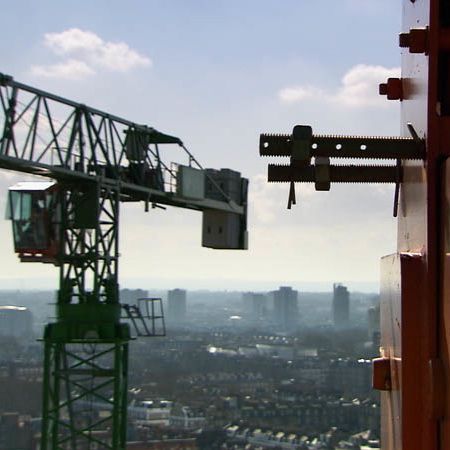 S comme The Solitary Life of Cranes (La vie solitaire des grues)