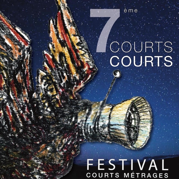 CourtsCourts 2016, les films en compétition