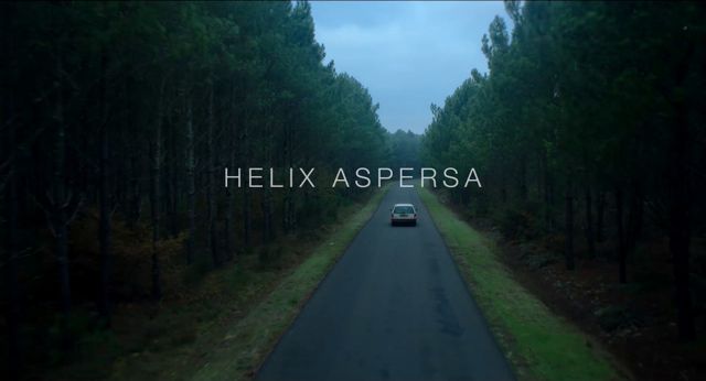 Helix Aspersa 001